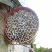 Oxford Bee Company nesting tubes in place. Red mason nests can attract other bees.